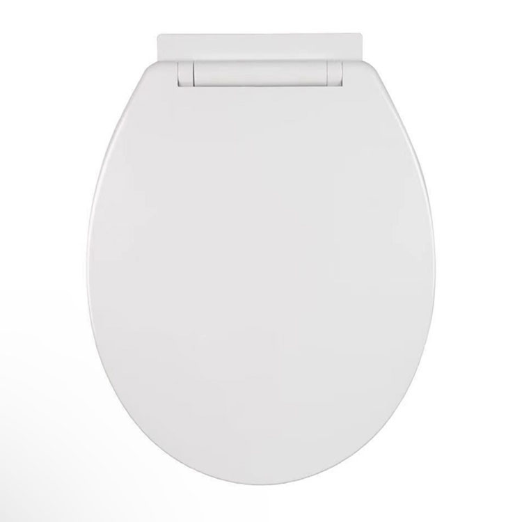 Sanitair Badkamer Toiletbril